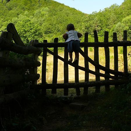 Pension Txiki Isaba Kültér fotó